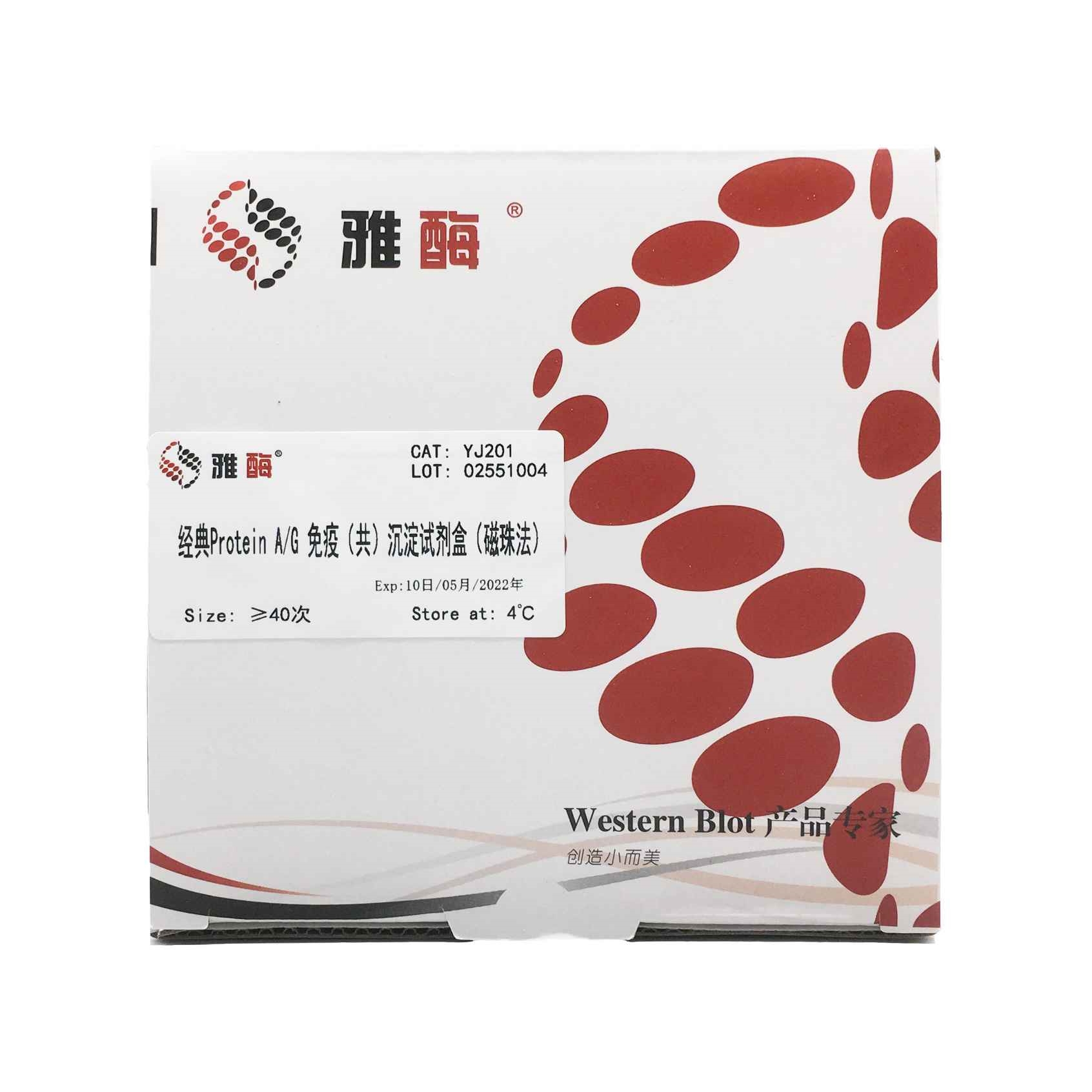 经典Protein A/G免疫(共)沉淀试剂盒