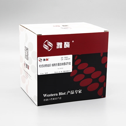 柱式动物组织/细胞总蛋白抽提试剂盒