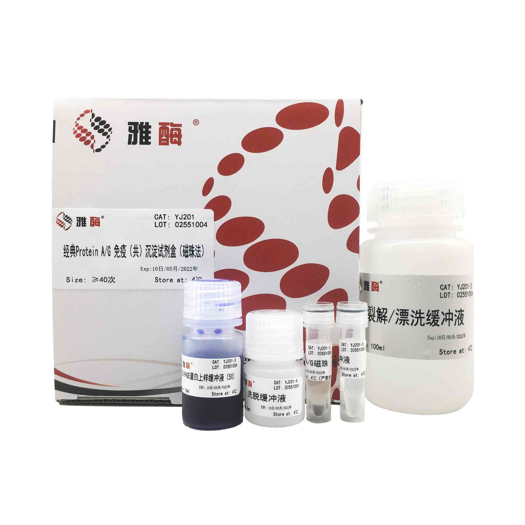 经典Protein A/G免疫(共)沉淀试剂盒
